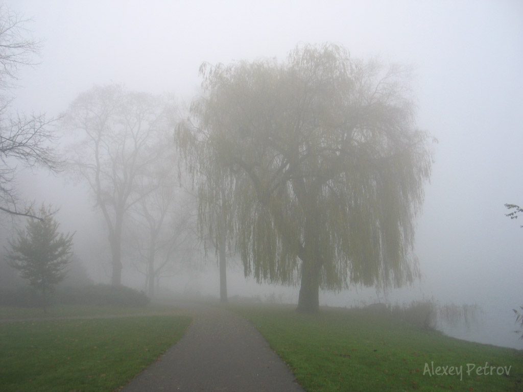 den_bosch_fog3